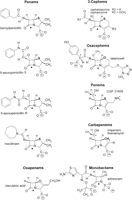 FIG. 8.