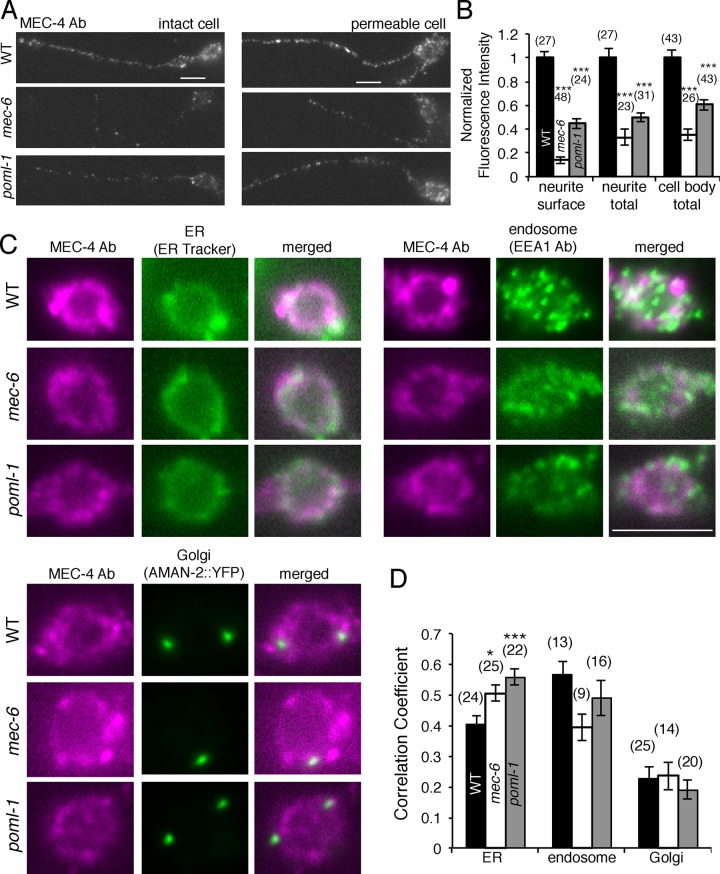 FIGURE 4: