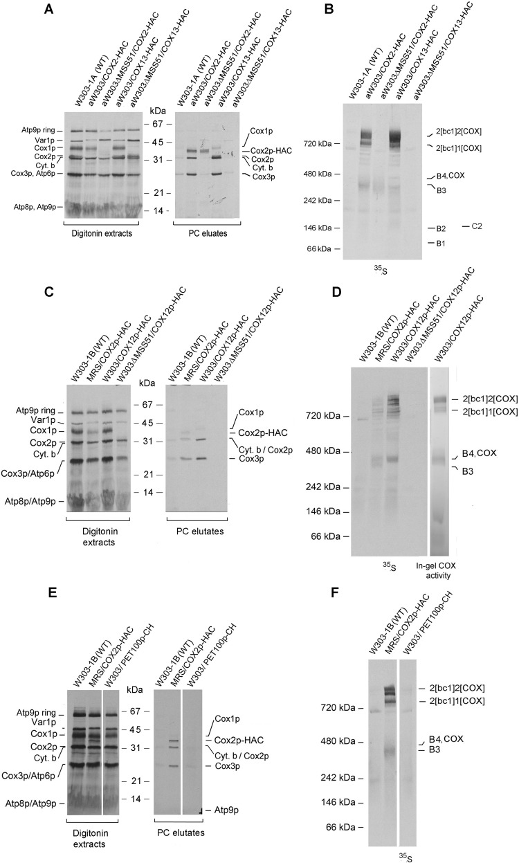 Figure 5.