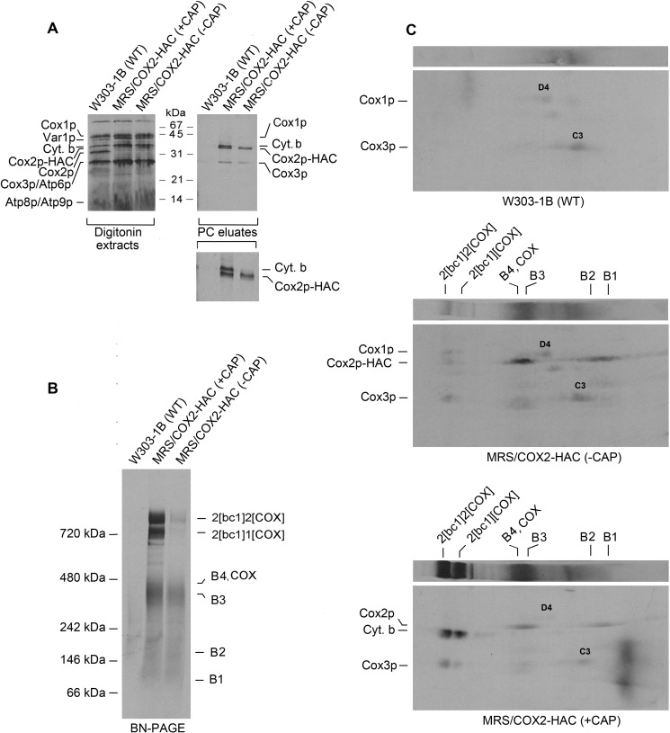 Figure 3.