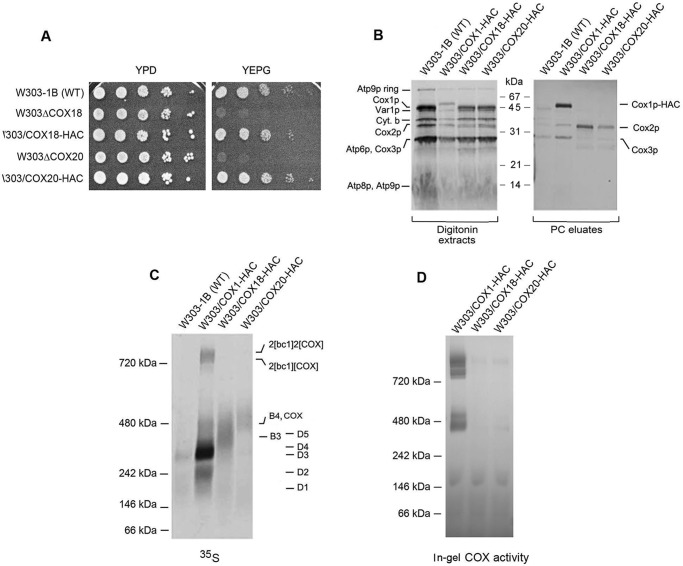 Figure 6.