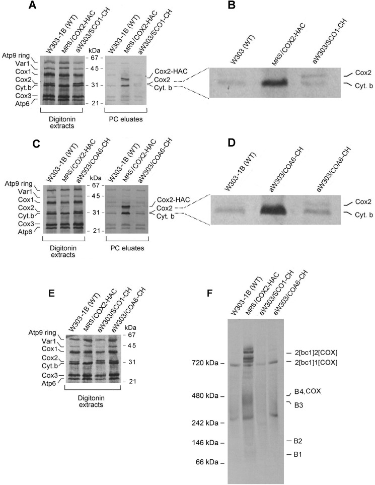 Figure 7.