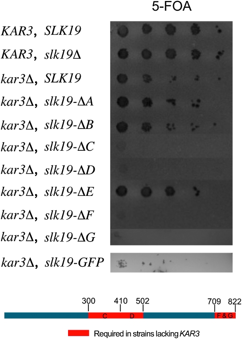 Figure 3.—