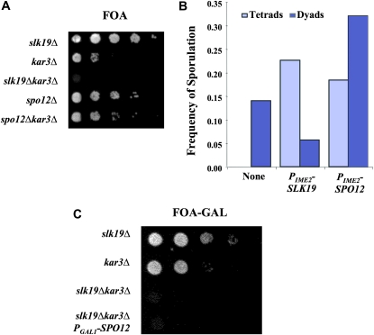 Figure 1.—