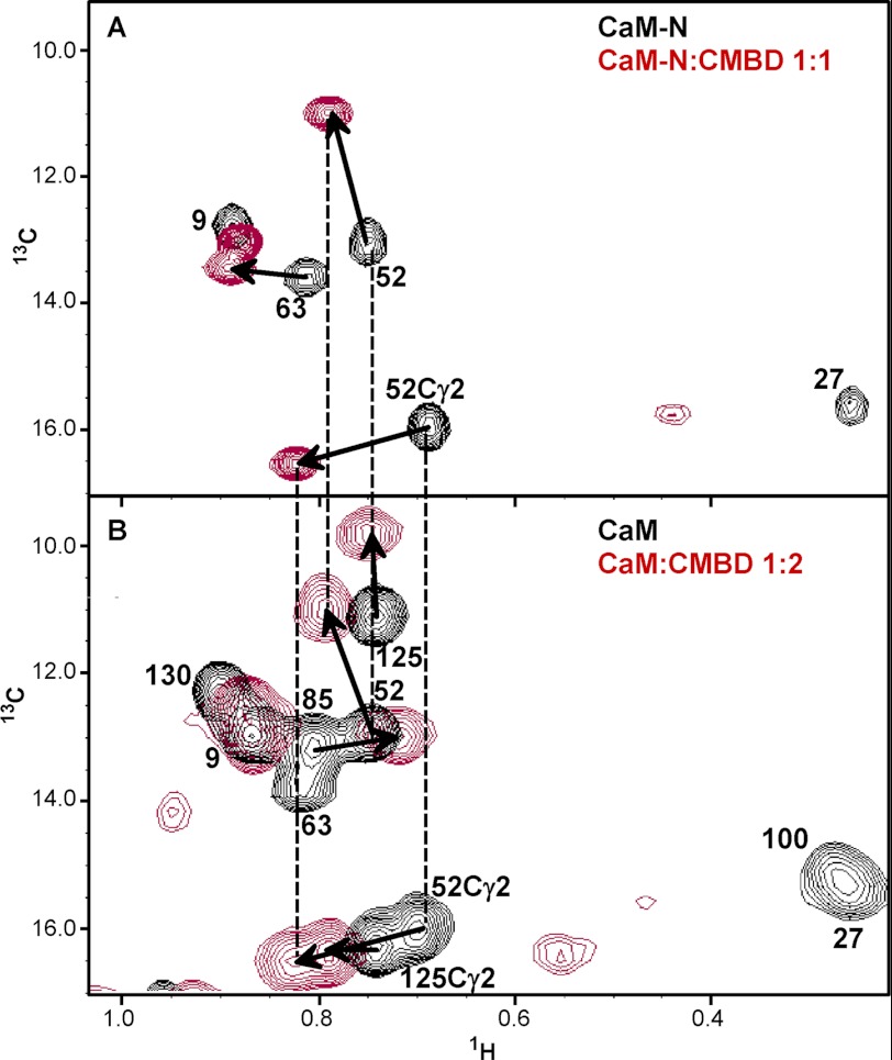 FIGURE 7.