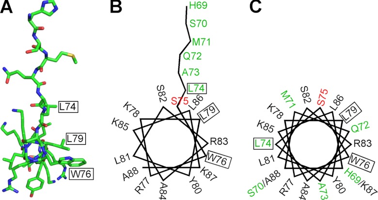 FIGURE 9.