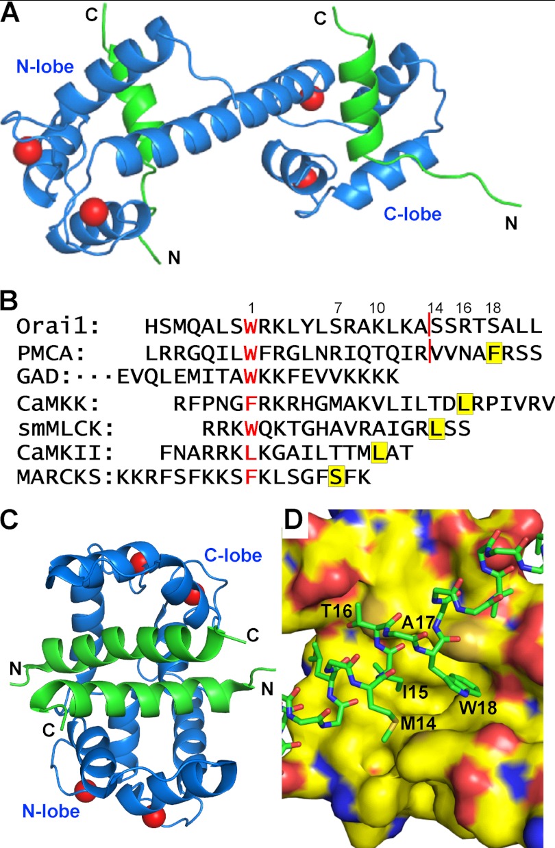 FIGURE 10.