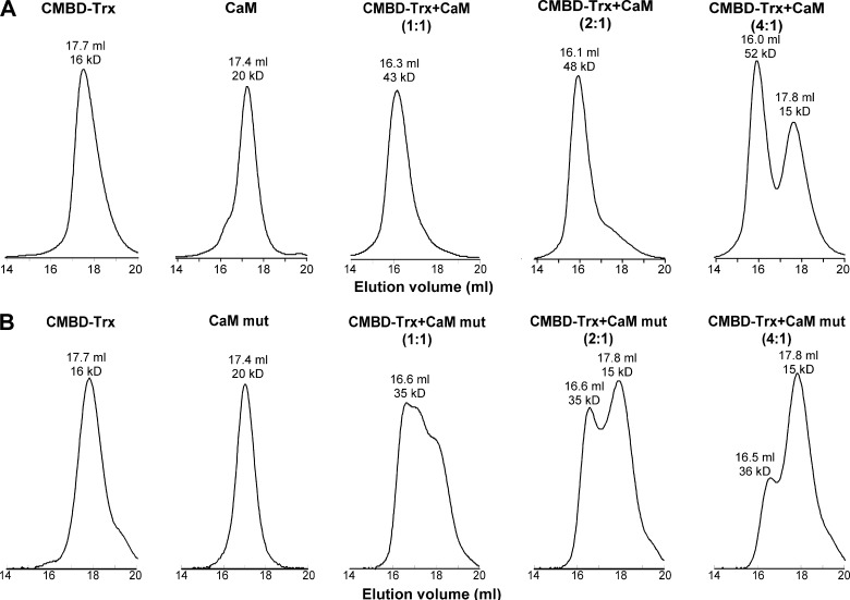 FIGURE 5.