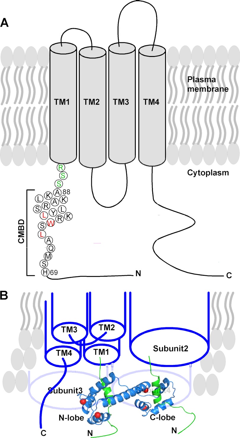 FIGURE 11.