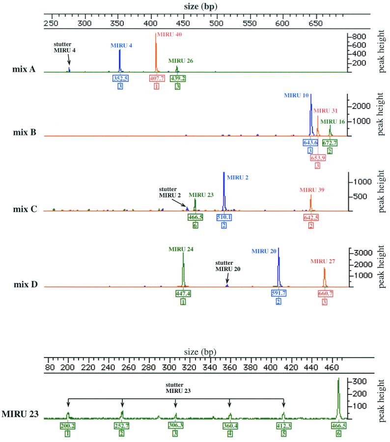 FIG. 1