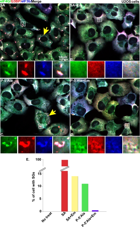 FIGURE 4.