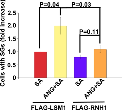 FIGURE 7.