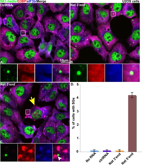 FIGURE 2.