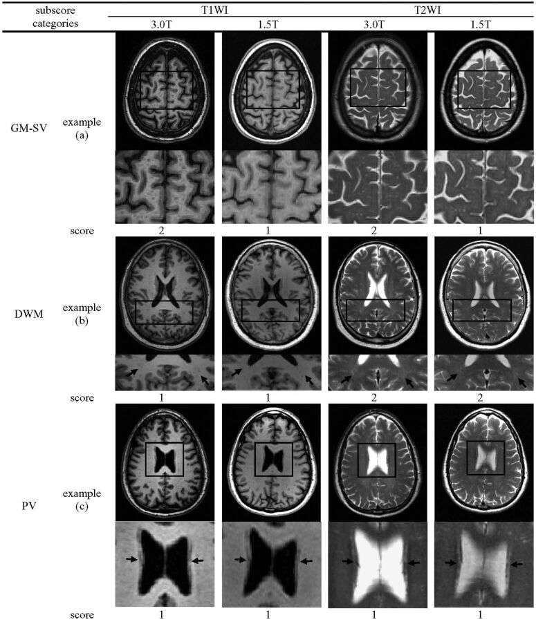 Fig 1.