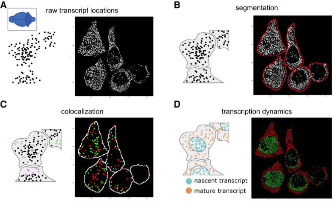 Figure 6.