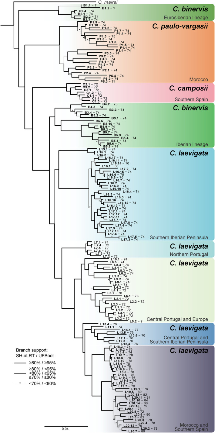 FIGURE 2