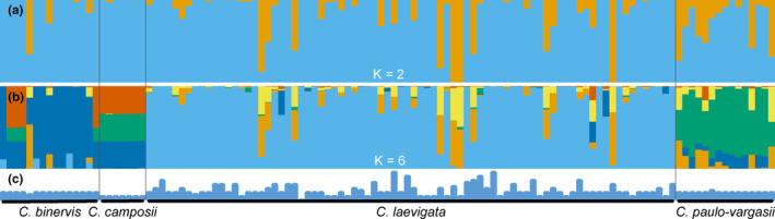 FIGURE 3