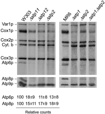 Fig. 1.