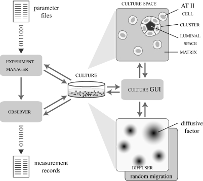 Figure 1.