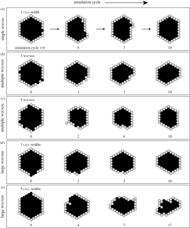 Figure 3.