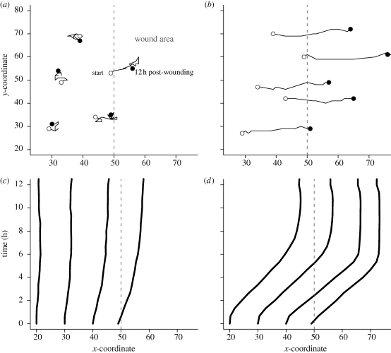 Figure 6.