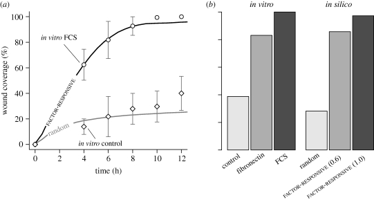 Figure 5.