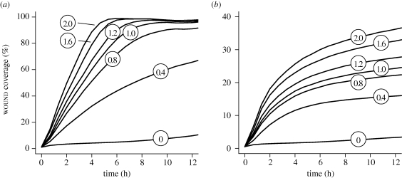 Figure 7.