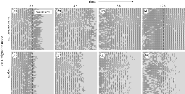 Figure 4.