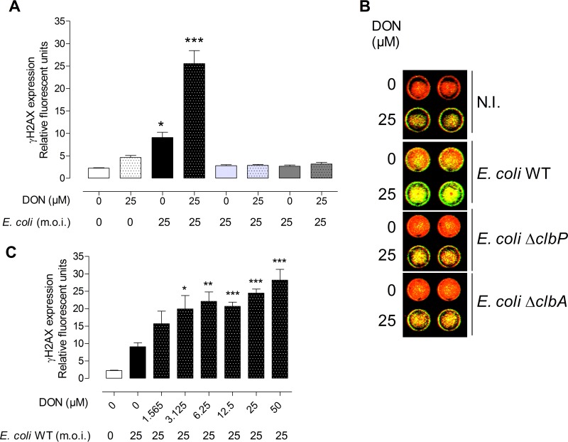 FIG 2 