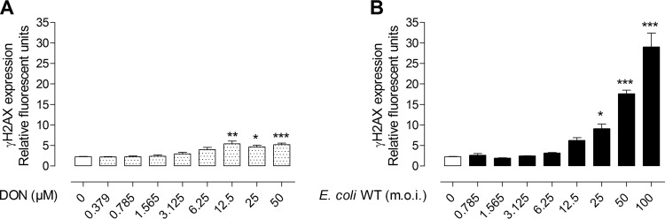 FIG 1 