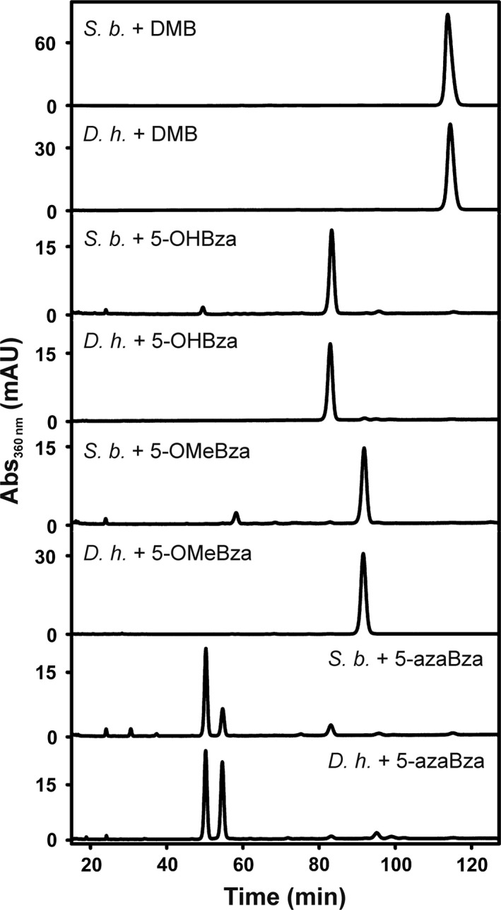 Figure 5