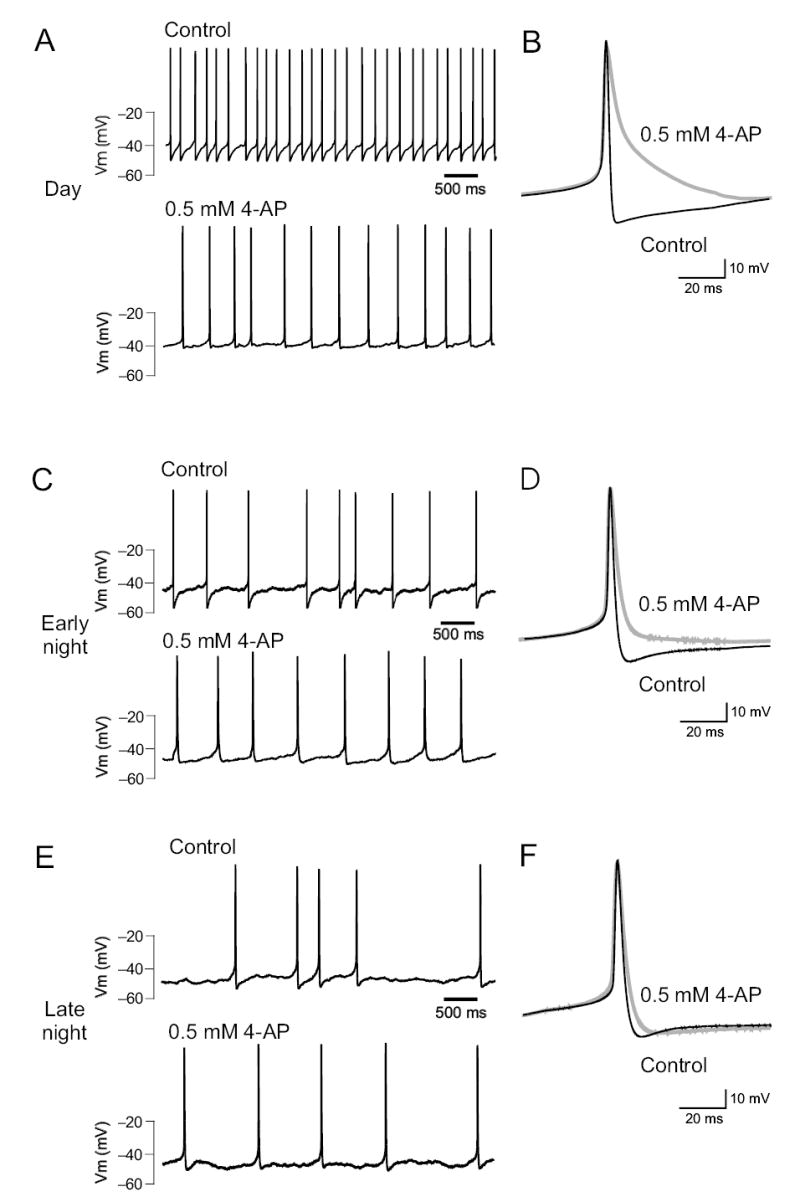 Fig. 5