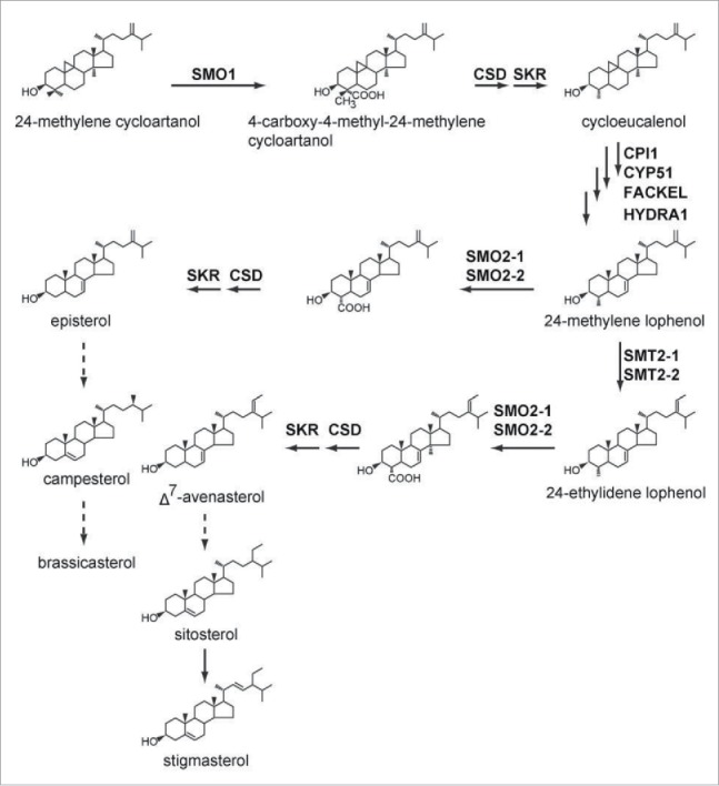 Figure 1.