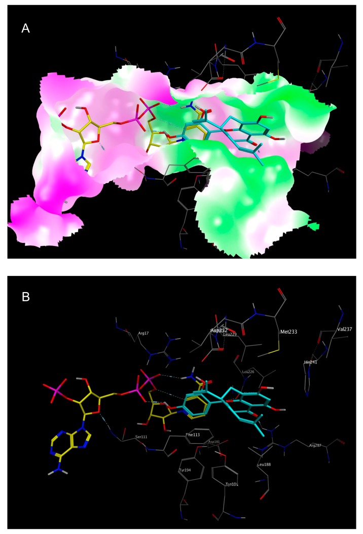 Figure 7