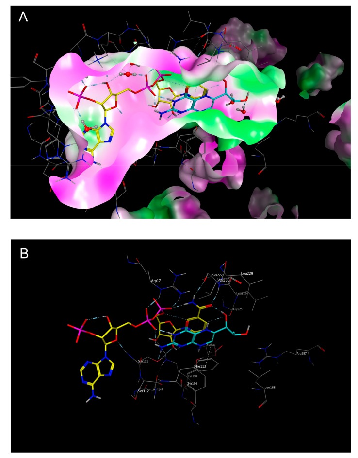 Figure 5