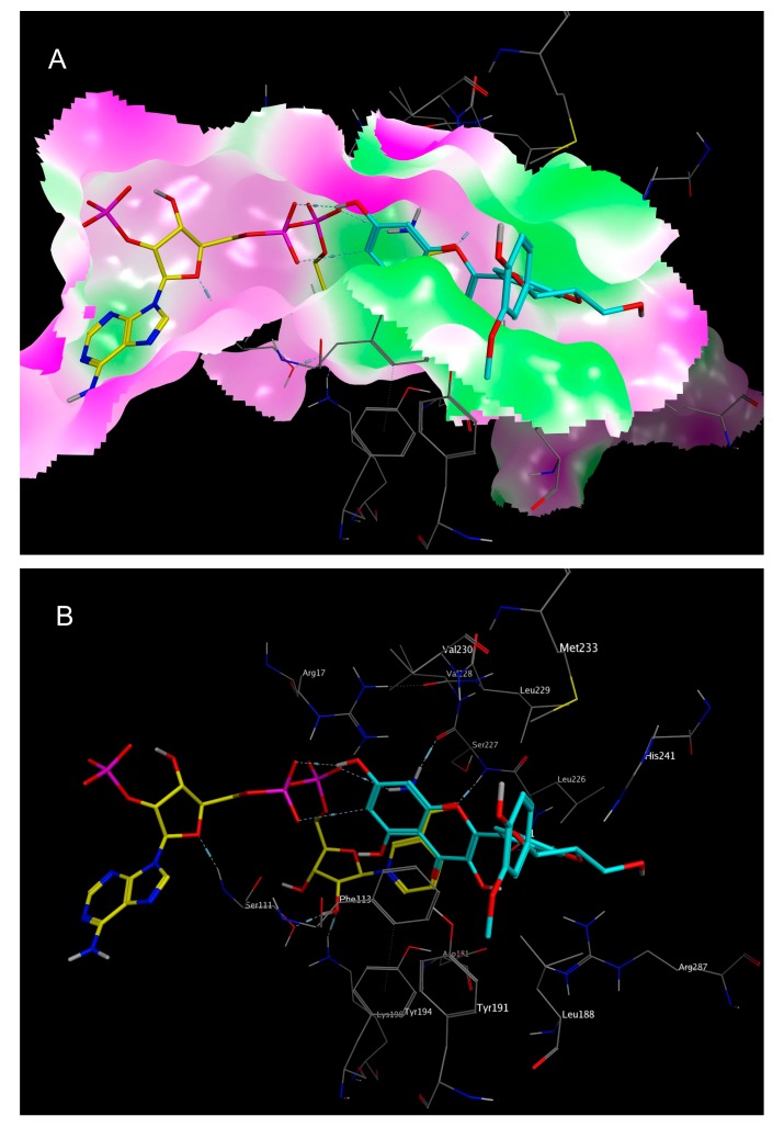 Figure 6