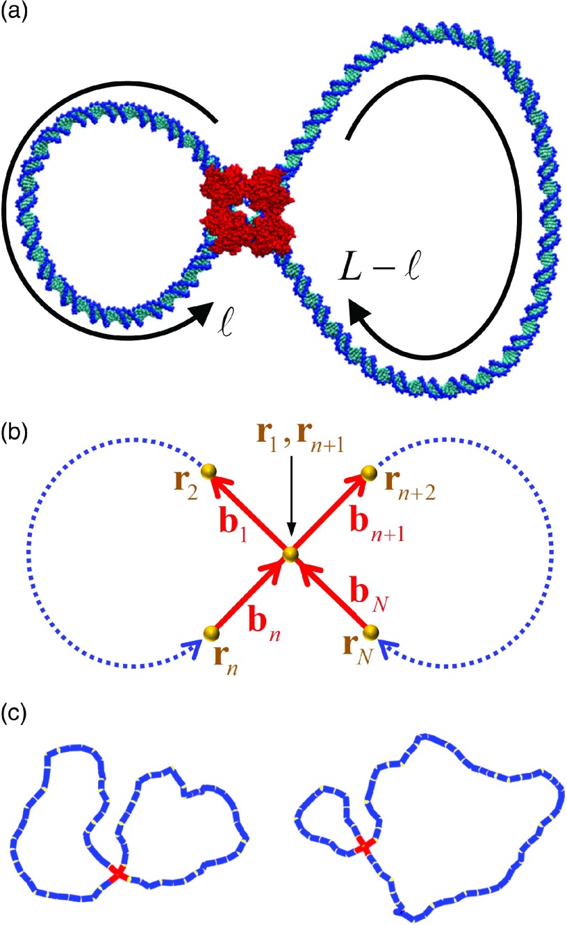 FIG. 2.