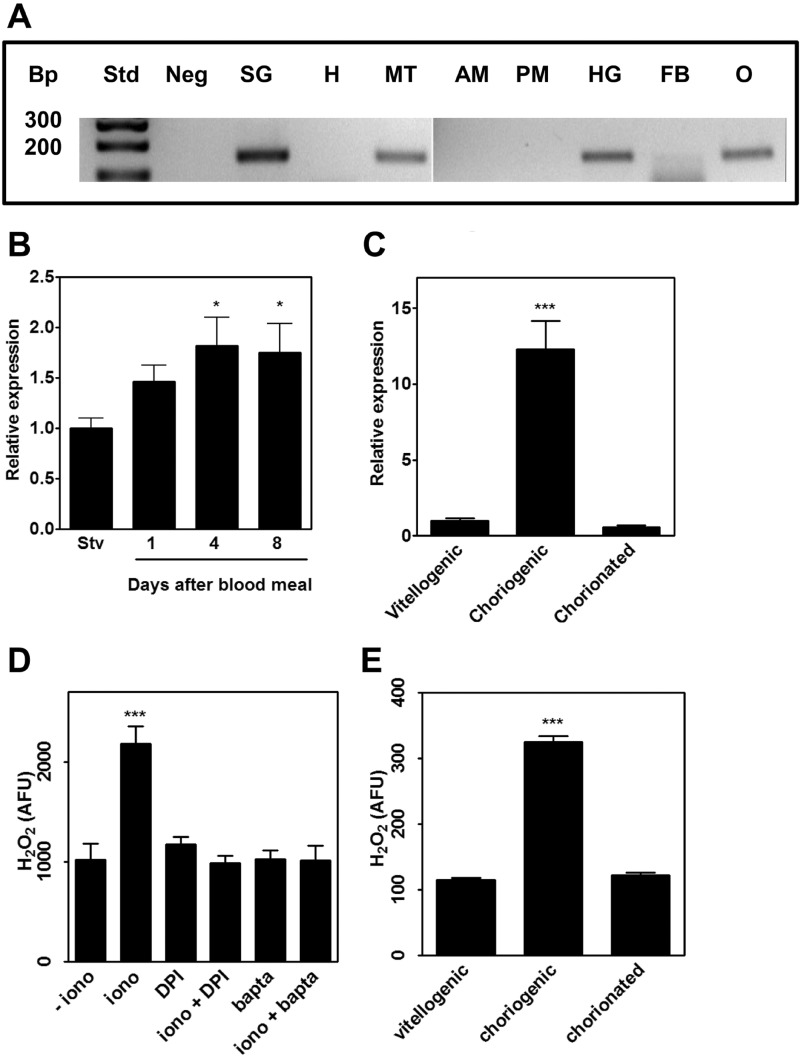 FIGURE 2.