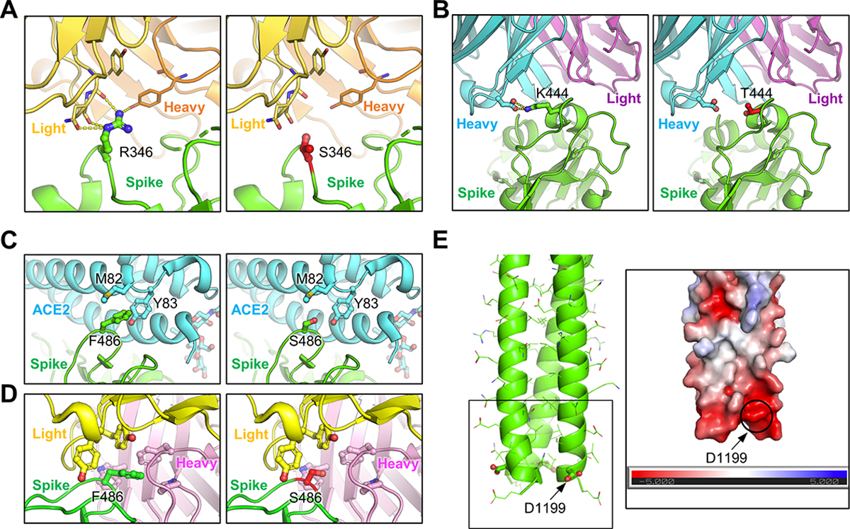 Figure 4: