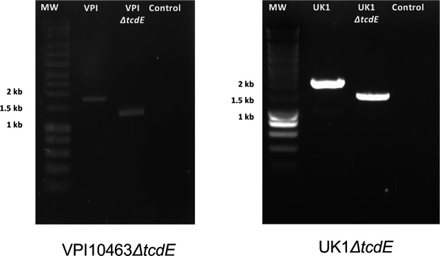 Extended data Fig.2: