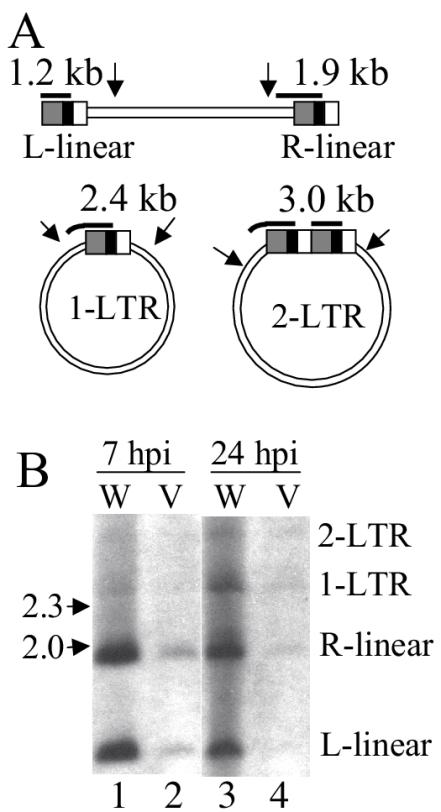 FIG. 5.