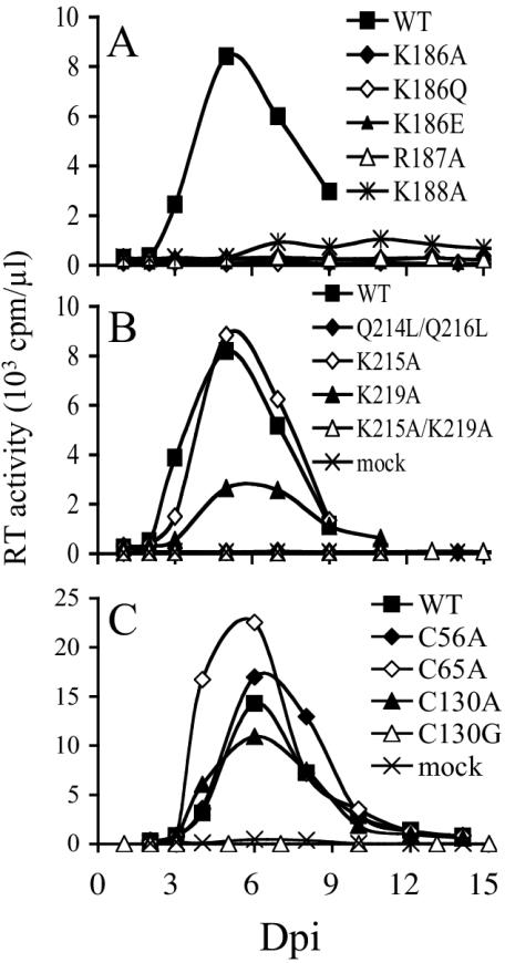 FIG. 2.