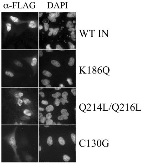 FIG. 7.