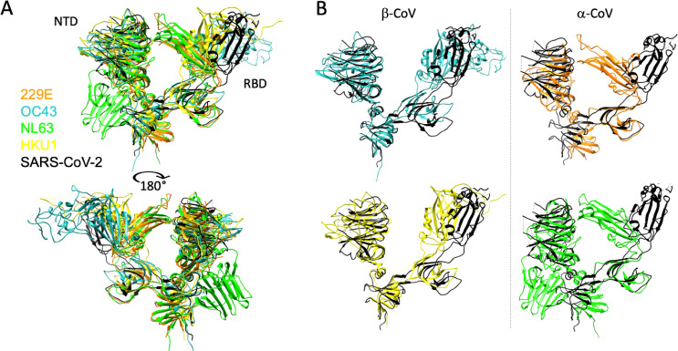 Figure 1—figure supplement 1.