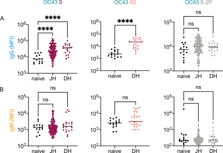 Figure 2—figure supplement 3.