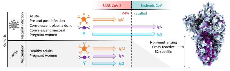 Figure 9.