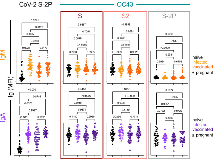 Figure 7—figure supplement 1.