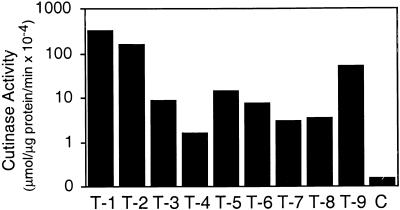 Figure 1.