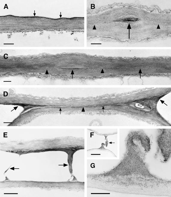 Figure 9.