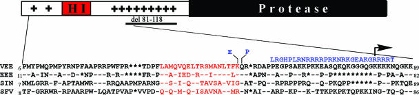 FIG. 9.